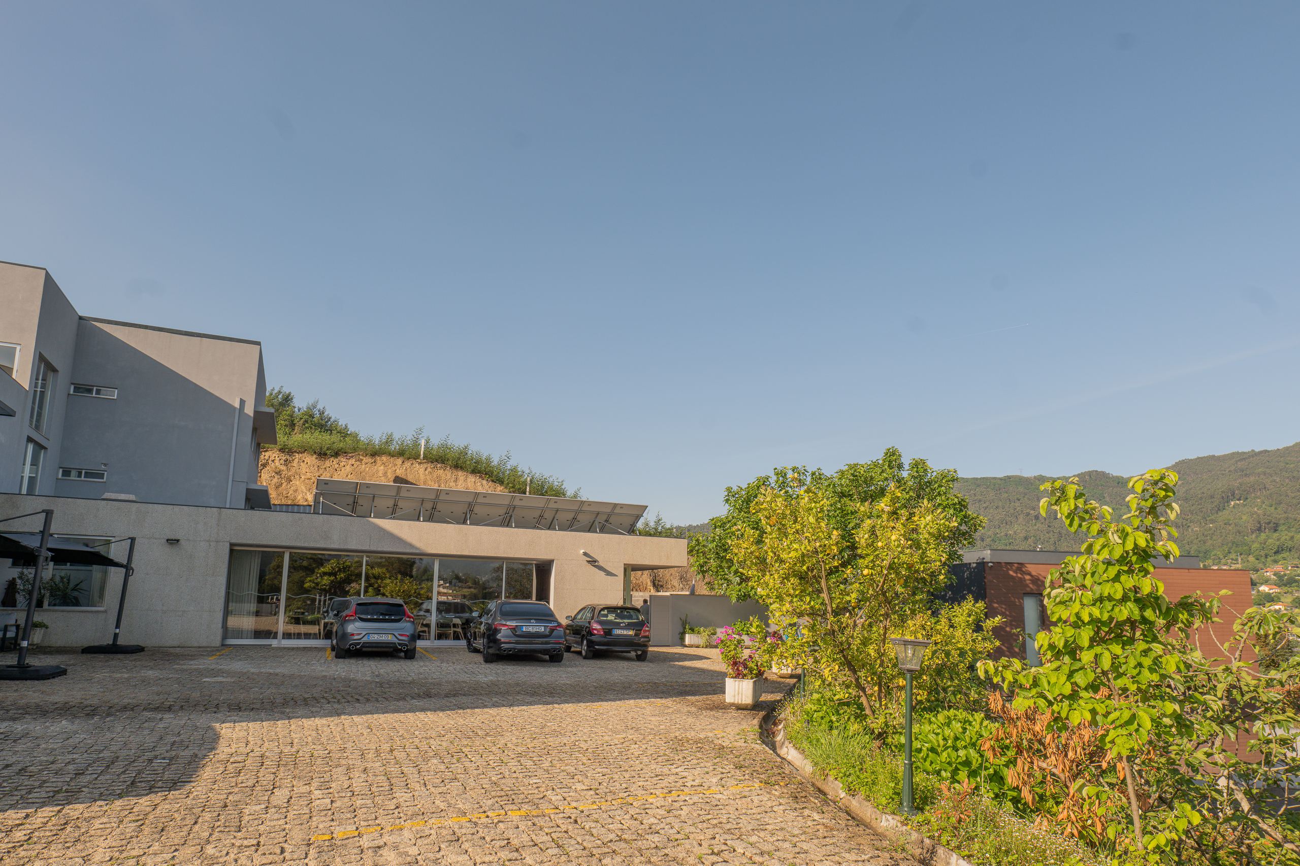 P1173691
