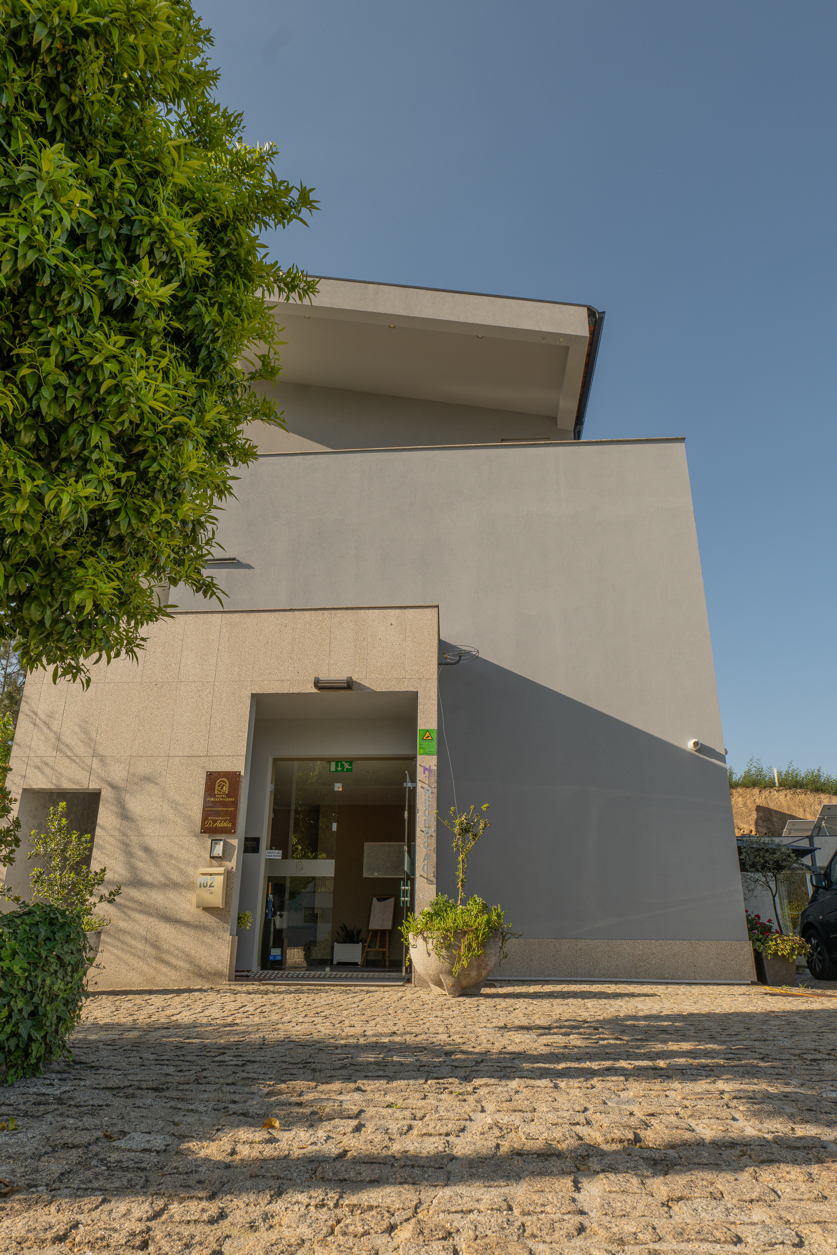 P1173697