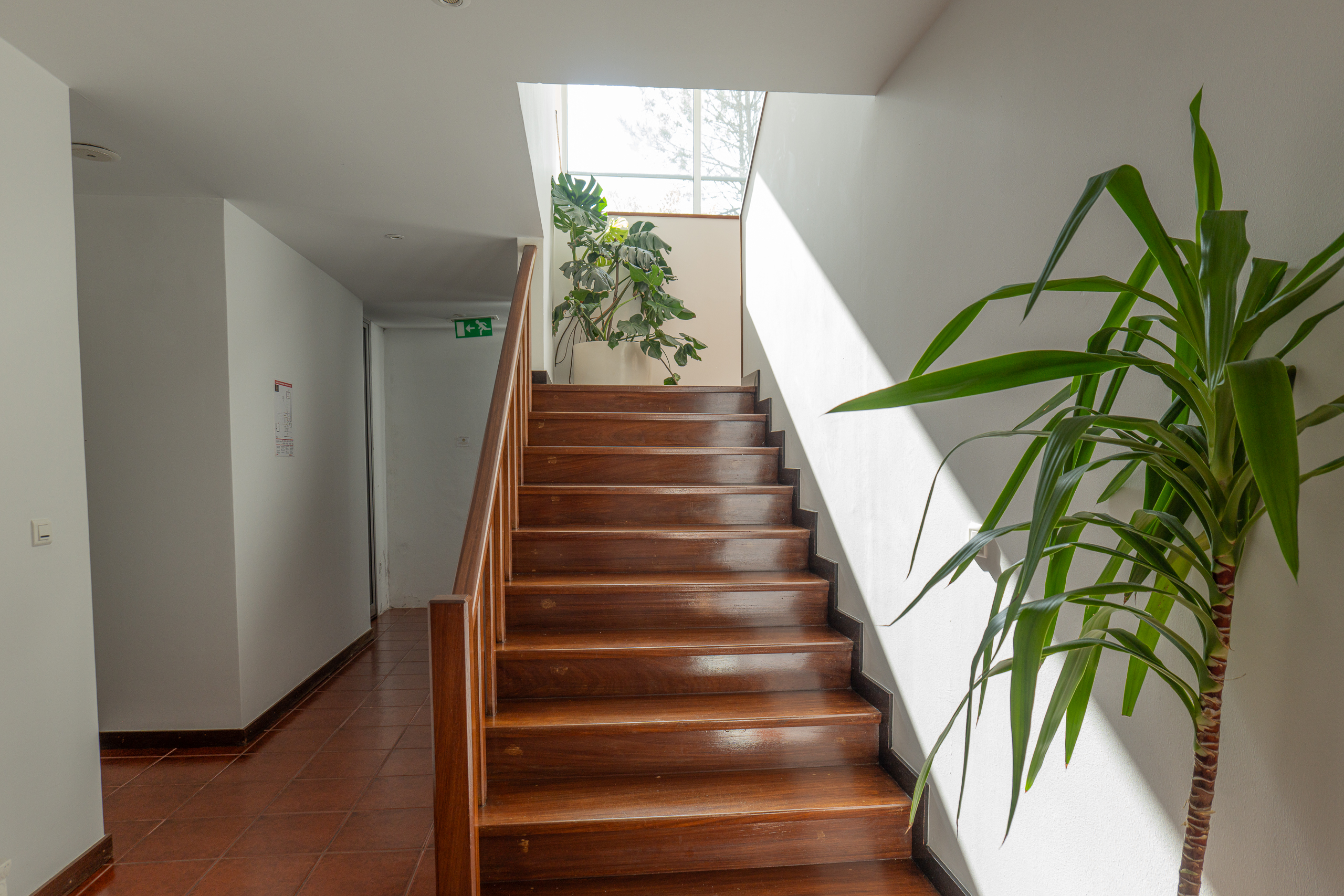 P1173865